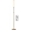 imageOBright LED Cylinder Floor Lamp with Remote Control Full Range Dimming Adjustable Color Temperature 3000K6000K Minimalist Standing Lamps for Living Room Bedrooms and Office Brushed NickelAntique Brass Remote Control