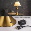 imageOBright Ember Rechargeable Table Lamp BlackBalusterAntique Brass